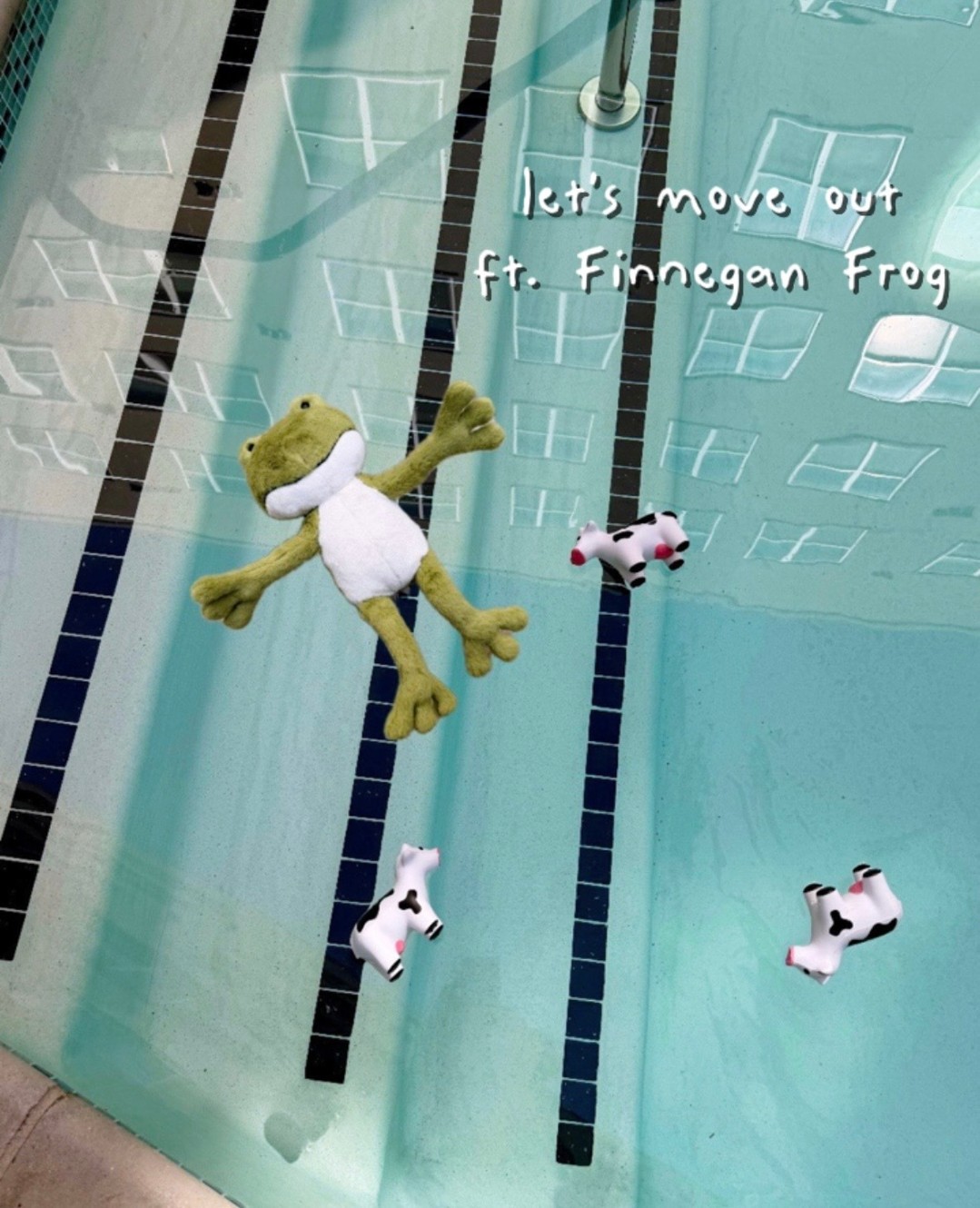 Let's welcome Finnegan Frog! Finnegan is our newest employee…